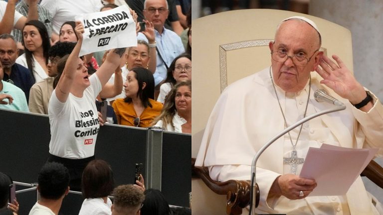 Hayvan hakları savunucuları Papa Francis’in konuşmasını kesti