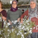 Anne ve kızı devlet desteği ile bir giysi oldu