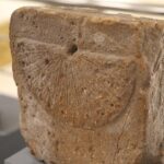 Kazılarda yaklaşık 1000 yıllık güneş kendileri