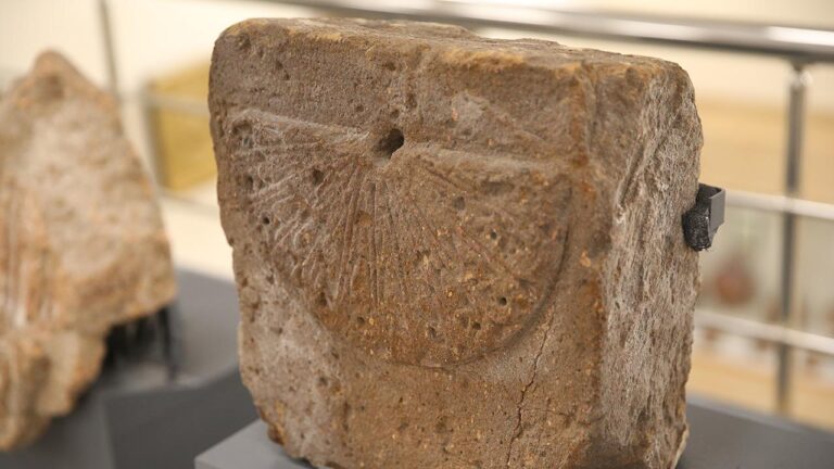 Kazılarda yaklaşık 1000 yıllık güneş kendileri