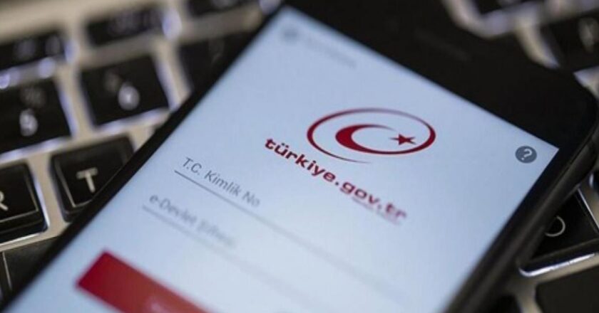 E Devlet sisteminde çoğu kişinin bilmediği hizmetler ilgi topluyor