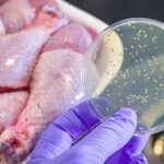 Mutfakta Tehlike Saçan Gıda! Hayat Kurtaran Altın Kuralı Unutmayın