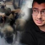 Köpekleri istismar edip öldüren doktorun cezası açıklandı! ‘Çocukluğumuzda kesilen saçlar’ savunması dikkat çekti.