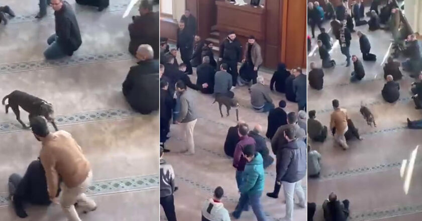 Cuma vaazı esnasında camiye pitbull girişi kamerada görüntülendi